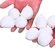 Bocconcini Di Bufala