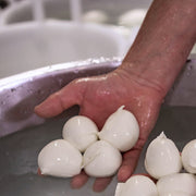 Bocconcini Di Bufala
