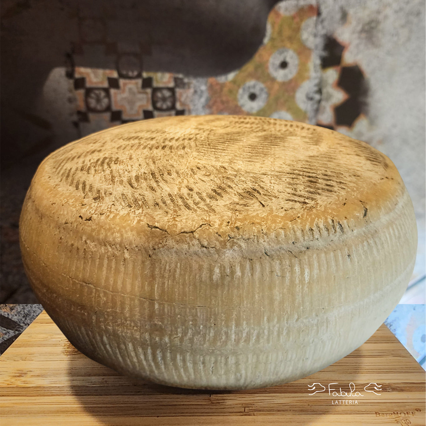 Caciotta de chèvre semi-affinée
