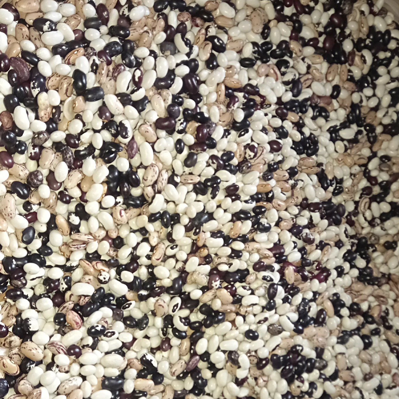 Zuppa mista di Fagioli di Controne