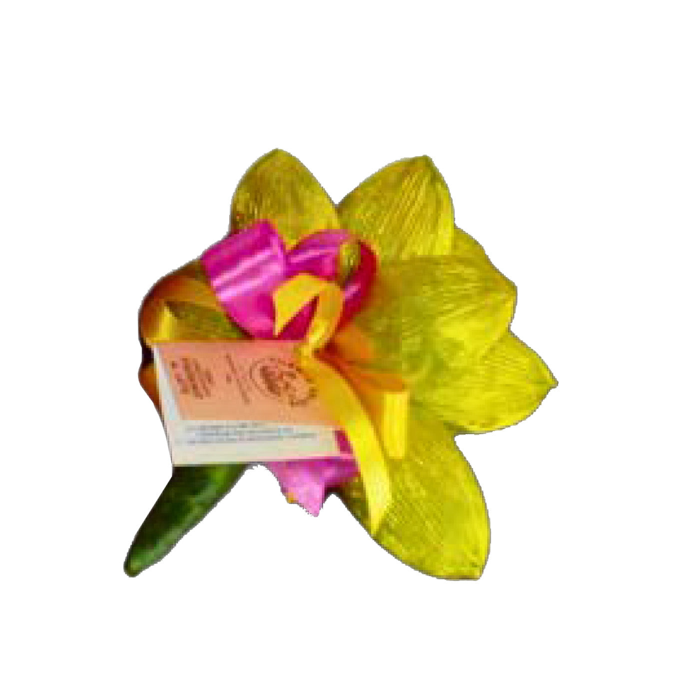 Grappoli di ovetti di Cioccolato