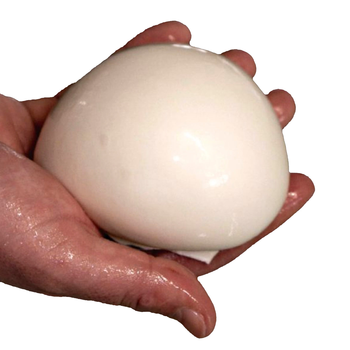 Buffalo Mozzarella