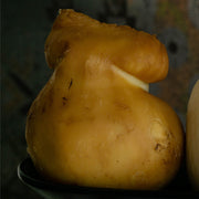 Scamorza Affumicata di Bufala